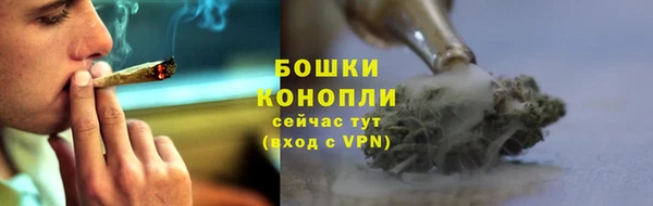 гидра Баксан